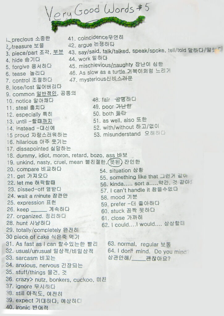 VGW5 Word List Poster